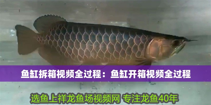 魚缸拆箱視頻全過程：魚缸開箱視頻全過程