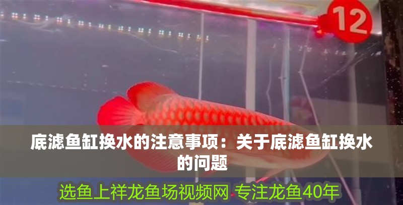 底濾魚缸換水的注意事項：關于底濾魚缸換水的問題