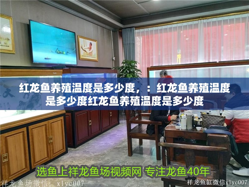 紅龍魚養殖溫度是多少度，：紅龍魚養殖溫度是多少度紅龍魚養殖溫度是多少度