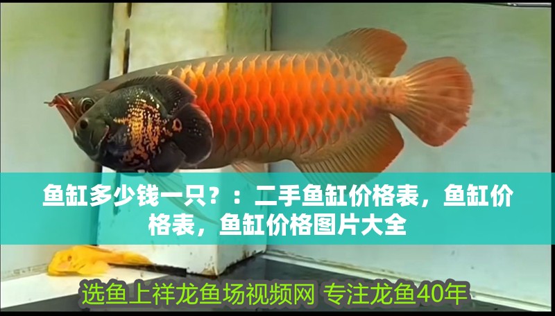 魚缸多少錢一只？：二手魚缸價格表，魚缸價格表，魚缸價格圖片大全