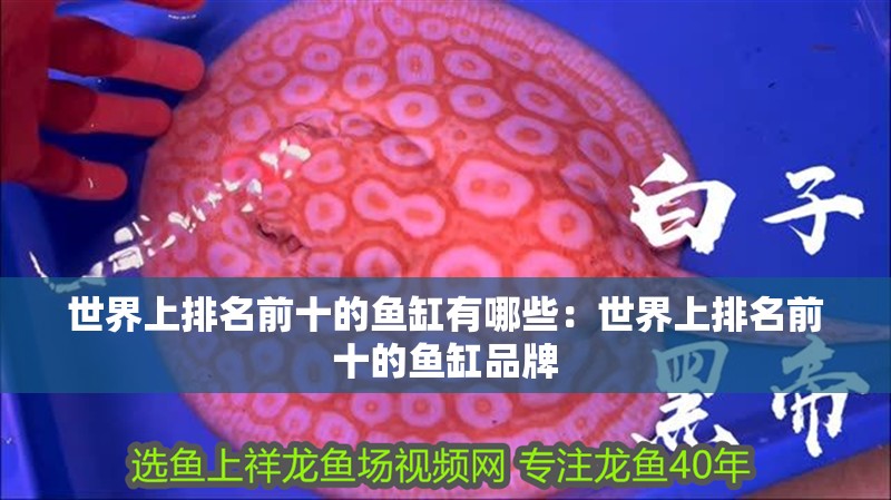 世界上排名前十的魚缸有哪些：世界上排名前十的魚缸品牌