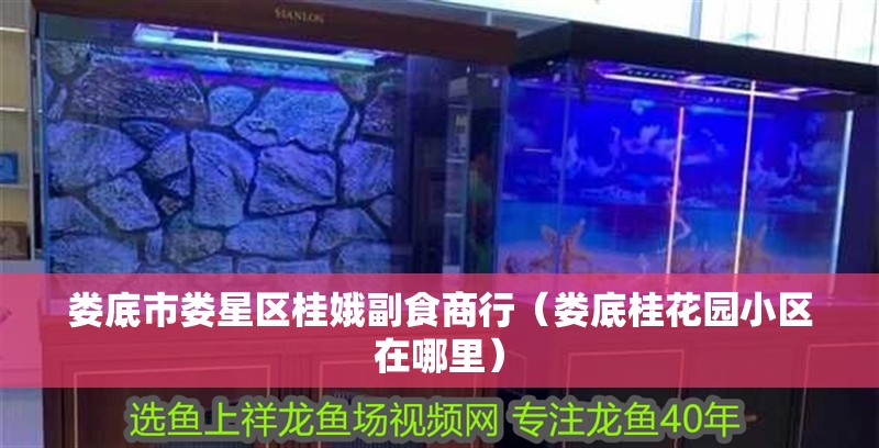 婁底市婁星區(qū)桂娥副食商行（婁底桂花園小區(qū)在哪里）