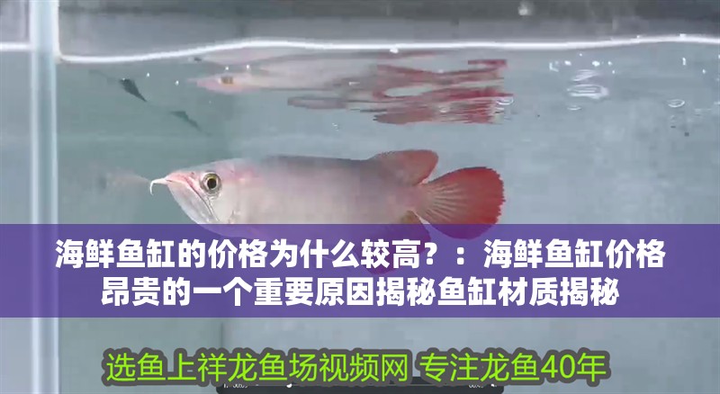 海鮮魚缸的價格為什么較高？：海鮮魚缸價格昂貴的一個重要原因揭秘魚缸材質(zhì)揭秘