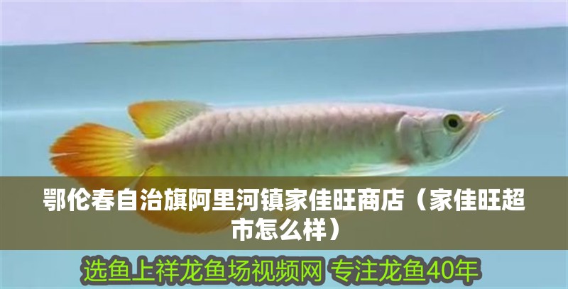 鄂倫春自治旗阿里河鎮家佳旺商店（家佳旺超市怎么樣）