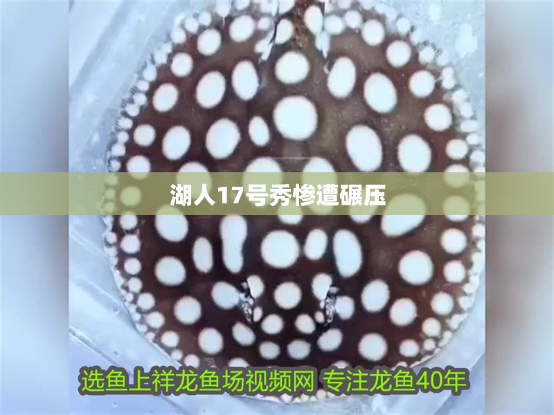 湖人17號秀慘遭碾壓