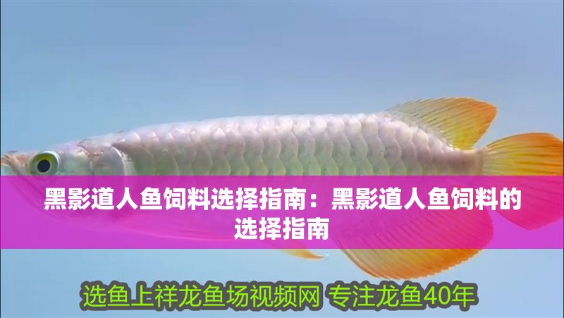 黑影道人魚飼料選擇指南：黑影道人魚飼料的選擇指南