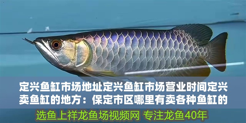 定興魚缸市場地址定興魚缸市場營業時間定興賣魚缸的地方：保定市區哪里有賣各種魚缸的？