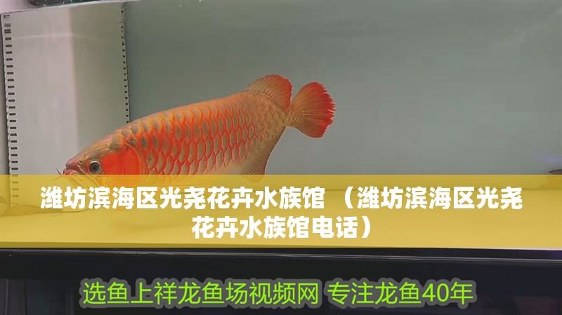 濰坊濱海區光堯花卉水族館 （濰坊濱海區光堯花卉水族館電話）
