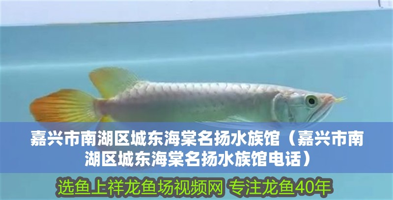 嘉興市<strong><mark>南湖</mark></strong>區城東海棠名揚水族館（嘉興市<strong><mark>南湖</mark></strong>區城東海棠名揚水族館電話）
