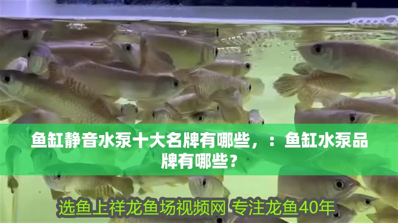 魚(yú)缸靜音水泵十大名牌有哪些，：魚(yú)缸水泵品牌有哪些？
