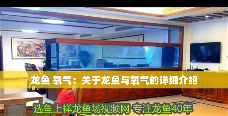 龍魚 氧氣：關于龍魚與氧氣的詳細介紹