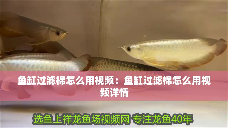 魚缸過濾棉怎么用視頻：魚缸過濾棉怎么用視頻詳情