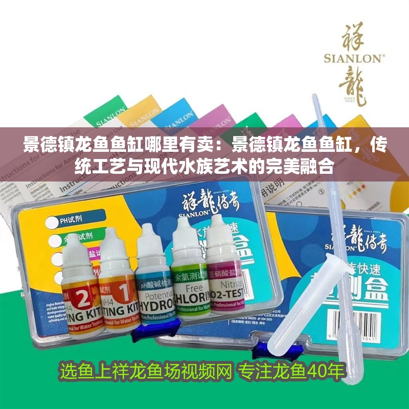 景德鎮龍魚魚缸哪里有賣：景德鎮龍魚魚缸，傳統工藝與現代水族藝術的完美融合