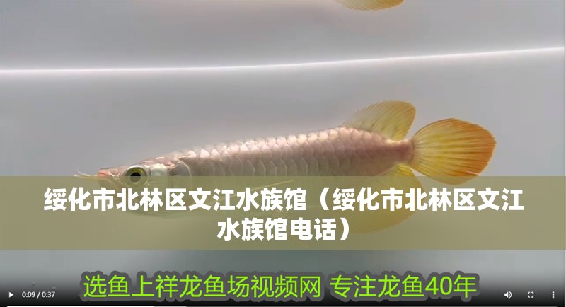 綏化市北林區文江水族館（綏化市北林區文江水族館電話）