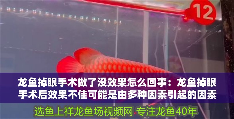 龍魚掉眼手術做了沒效果怎么回事：龍魚掉眼手術后效果不佳可能是由多種因素引起的因素引起