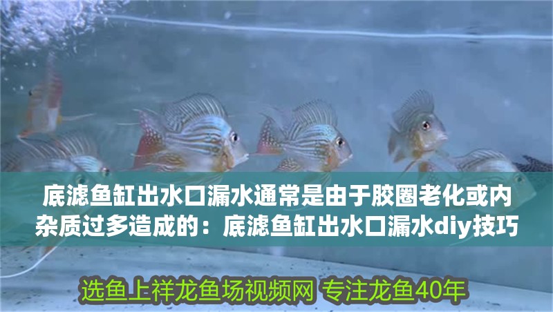底濾魚缸出水口漏水通常是由于膠圈老化或內雜質過多造成的：底濾魚缸出水口漏水diy技巧與注意事項