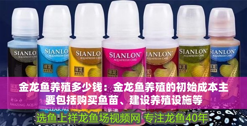 金龍魚養殖多少錢：金龍魚養殖的初始成本主要包括購買魚苗、建設養殖設施等