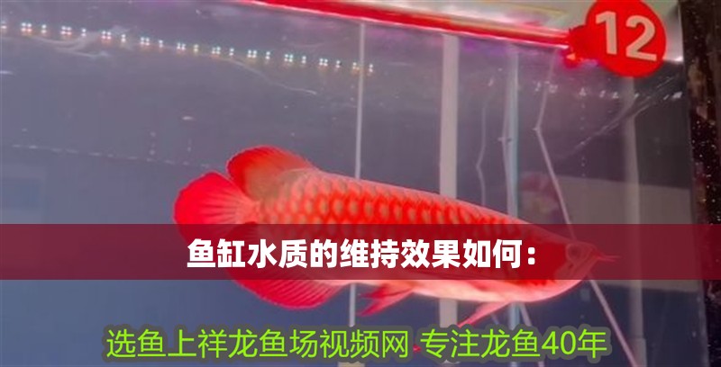 魚缸水質的維持效果如何：