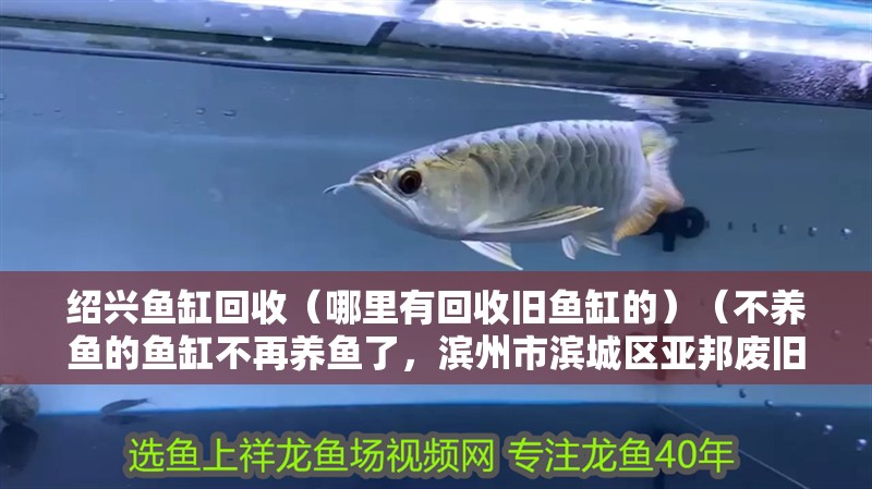 紹興魚缸回收（哪里有回收舊魚缸的）（不養(yǎng)魚的魚缸不再養(yǎng)魚了，濱州市濱城區(qū)亞邦廢舊物品回收部）
