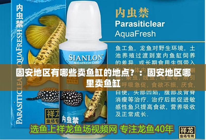 固安地區(qū)有哪些賣魚缸的地點？：固安地區(qū)哪里賣魚缸