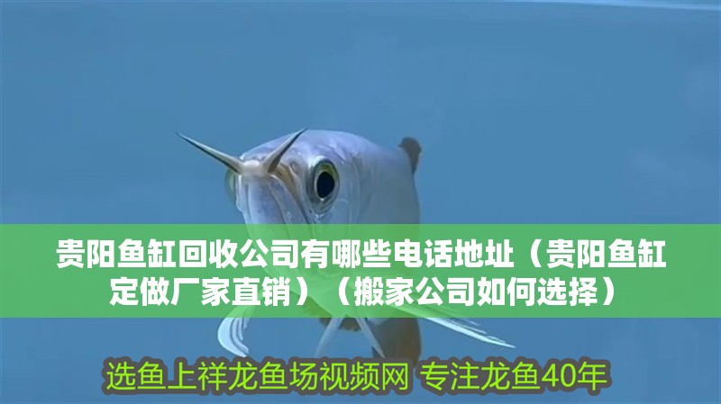 貴陽魚缸回收公司有哪些電話地址（貴陽魚缸定做廠家直銷）（搬家公司如何選擇）