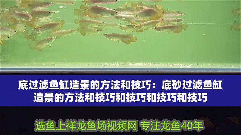 魚缸用增氧泵價(jià)格是多少:魚缸增氧機(jī)-xtrac增氧機(jī)-xtrac增氧機(jī) 底過濾魚缸造景的方法和技巧:底砂過濾魚缸造景的方法和技巧和技巧和技巧和技巧 魚缸百科 底過濾魚缸造景的方法和技巧:底砂過濾魚缸造景的方法和技巧和技巧和技巧和技巧 底過濾魚缸造景的方法和技巧:底砂過濾魚缸造景的方法和技巧和技巧和技巧和技巧 魚缸百科