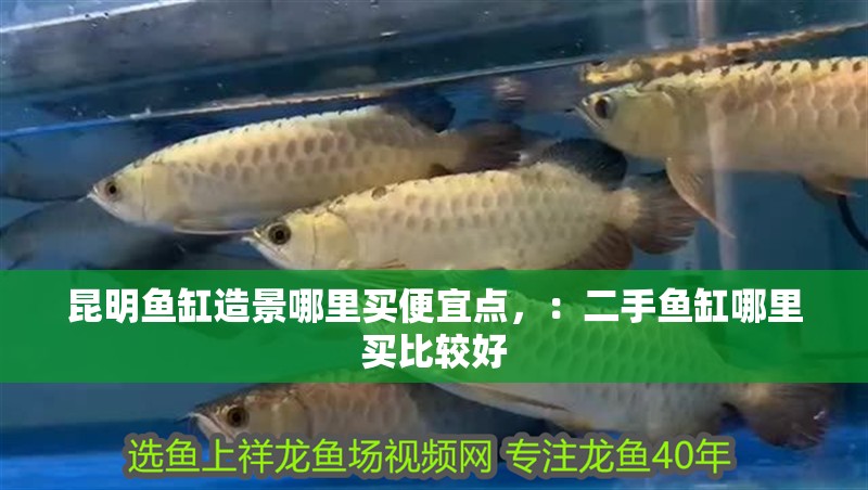 昆明魚缸造景哪里買便宜點，：二手魚缸哪里買比較好