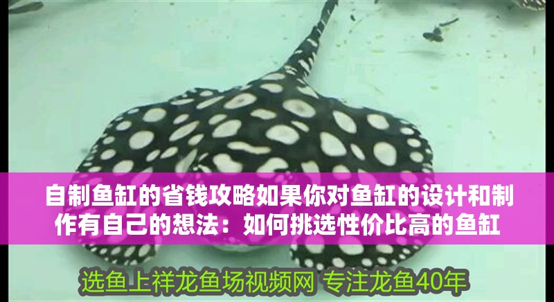 自制魚缸的省錢攻略如果你對魚缸的設計和制作有自己的想法：如何挑選性價比高的魚缸