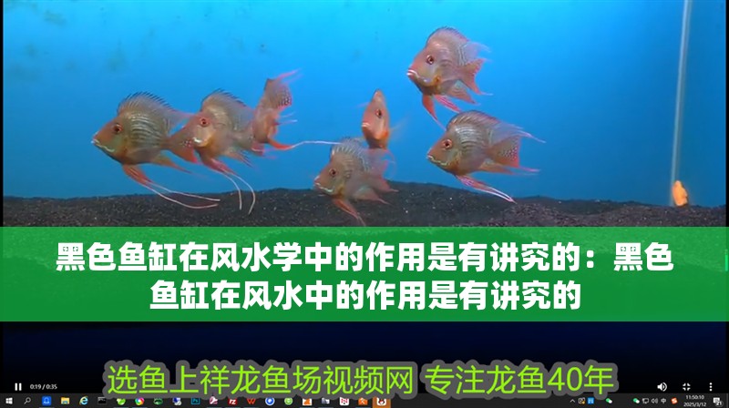 黑色魚缸在風水學中的作用是有講究的：黑色魚缸在風水中的作用是有講究的