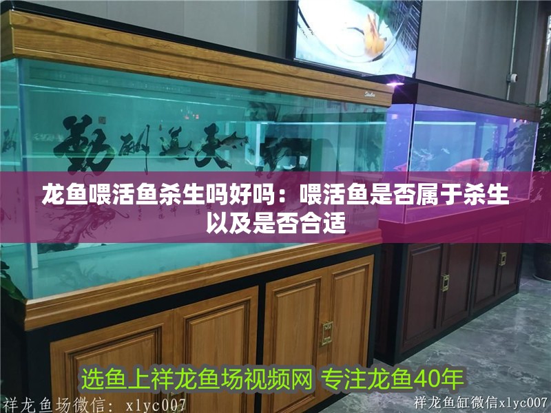 龍魚喂活魚殺生嗎好嗎：喂活魚是否屬于殺生以及是否合適