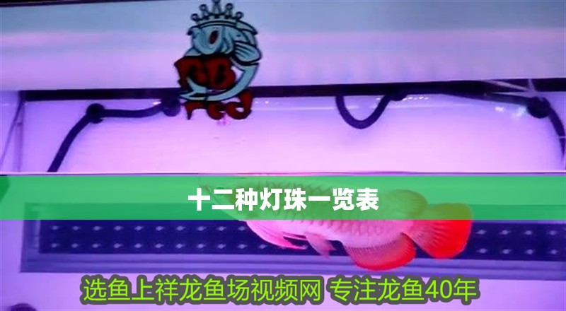 十二種燈珠一覽表