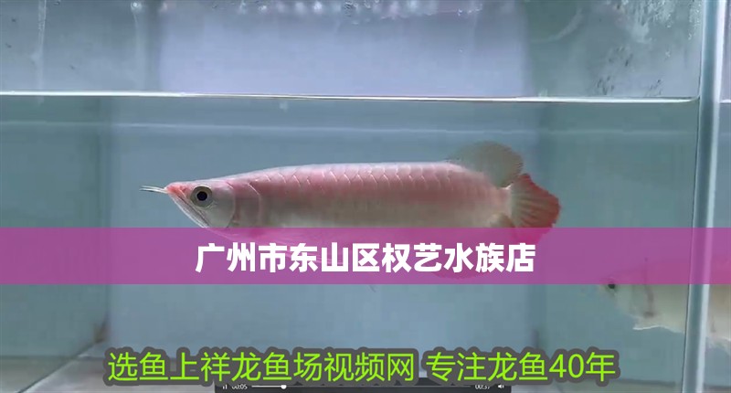 廣州市東山區權藝水族店