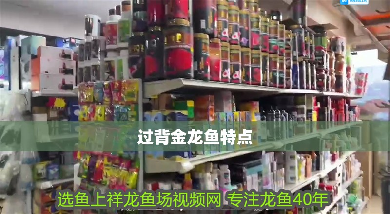過背金龍魚特點(diǎn)
