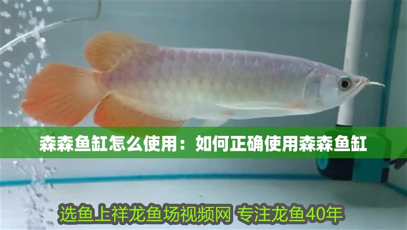 森森魚缸怎么使用：如何正確使用森森魚缸