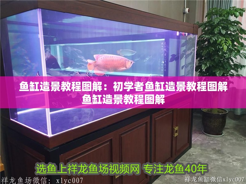 魚缸造景教程圖解：初學者魚缸造景教程圖解魚缸造景教程圖解