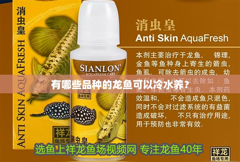 有哪些品種的龍魚(yú)可以冷水養(yǎng)？