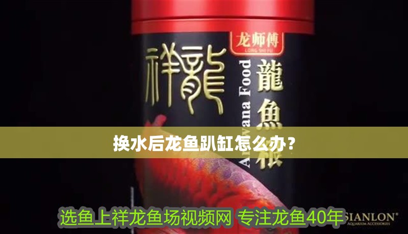 換水后龍魚趴缸怎么辦？