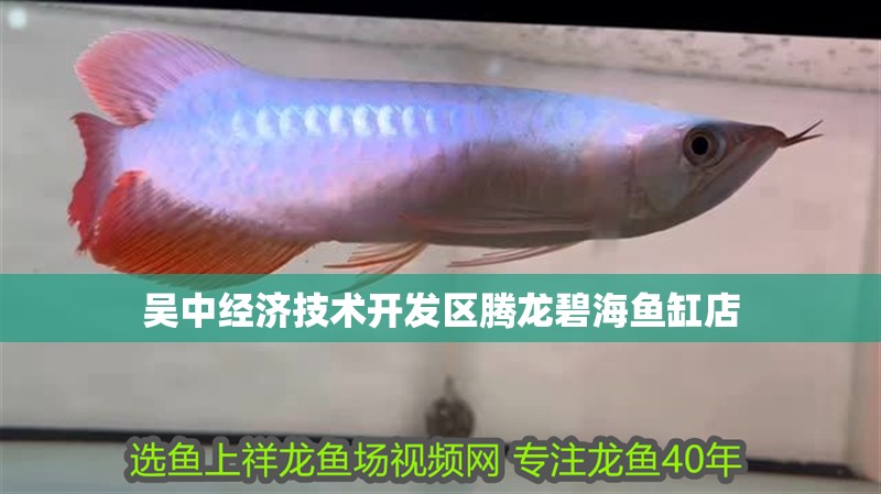 吳中經濟技術開發區騰龍碧海魚缸店