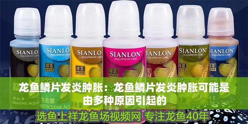 龍魚鱗片發炎腫脹：龍魚鱗片發炎腫脹可能是由多種原因引起的