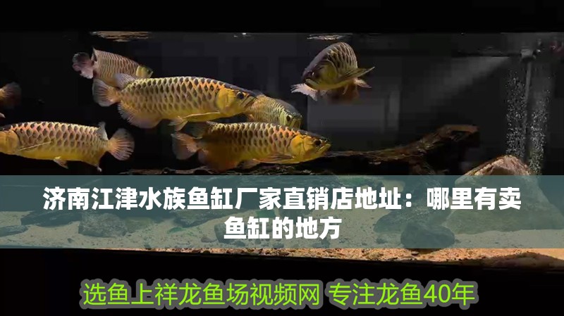 濟南江津水族魚缸廠家直銷店地址：哪里有賣魚缸的地方