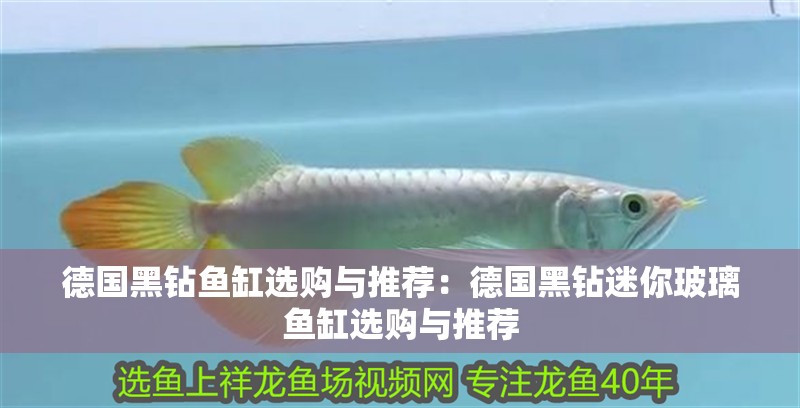 德國(guó)黑鉆魚缸選購與推薦：德國(guó)黑鉆迷你玻璃魚缸選購與推薦
