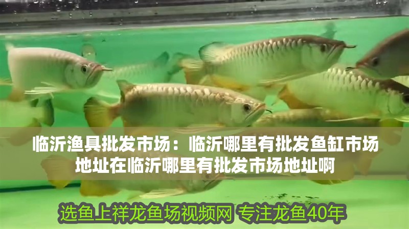臨沂漁具批發市場：臨沂哪里有批發魚缸市場地址在臨沂哪里有批發市場地址啊