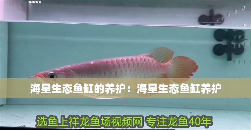 海星生態魚缸的養護：海星生態魚缸養護