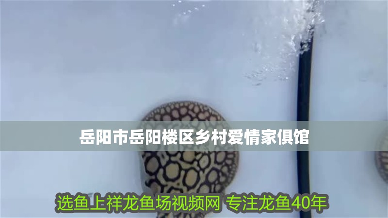 岳陽市岳陽樓區鄉村愛情家俱館