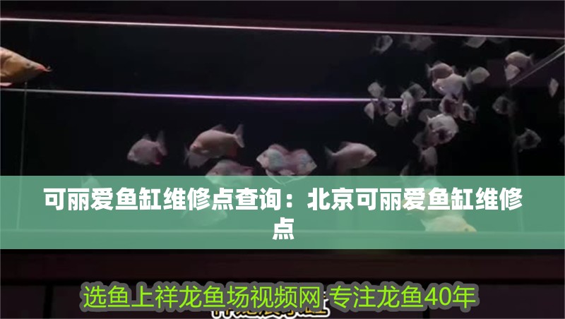 可麗愛魚缸維修點查詢：北京可麗愛魚缸維修點