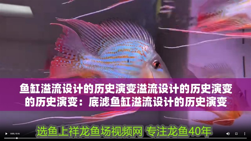 魚缸溢流設計的歷史演變溢流設計的歷史演變的歷史演變：底濾魚缸溢流設計的歷史演變