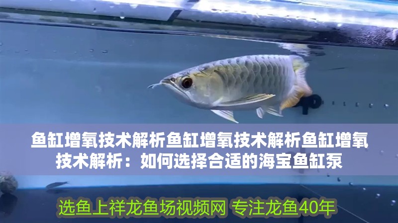 魚缸增氧技術解析魚缸增氧技術解析魚缸增氧技術解析：如何選擇合適的海寶魚缸泵