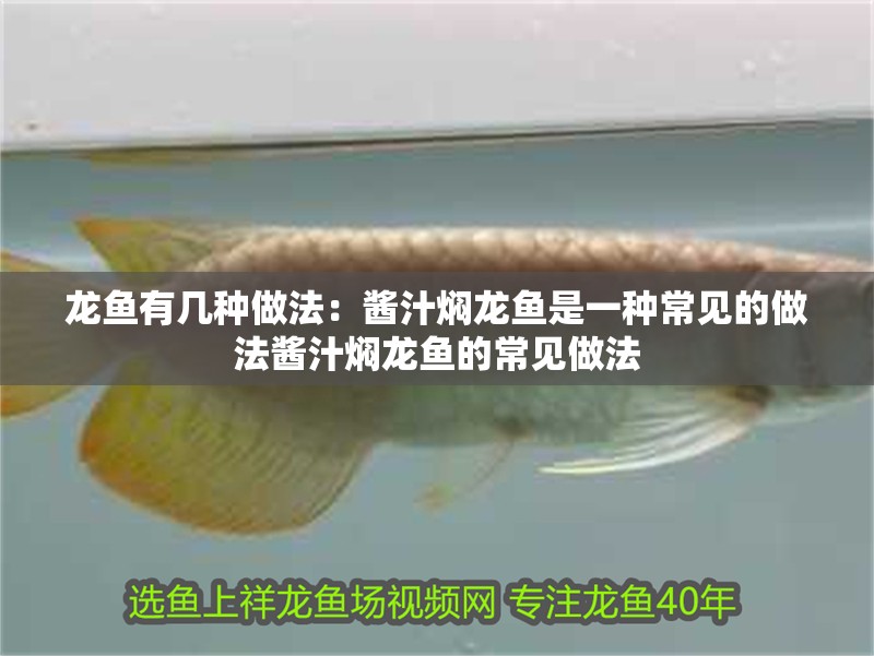 龍魚有幾種做法：醬汁燜龍魚是一種常見的做法醬汁燜龍魚的常見做法