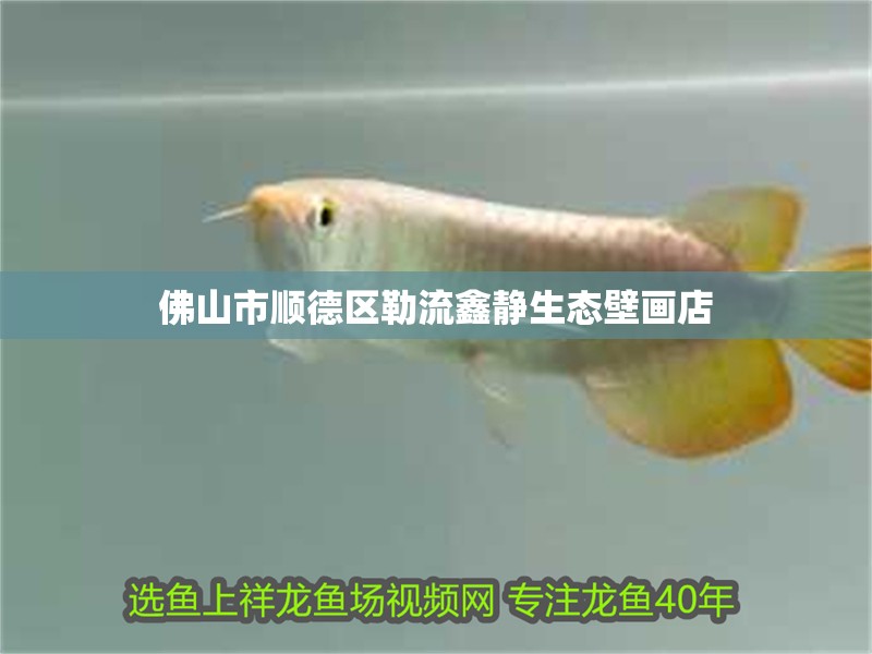 佛山市順德區勒流鑫靜生態壁畫店