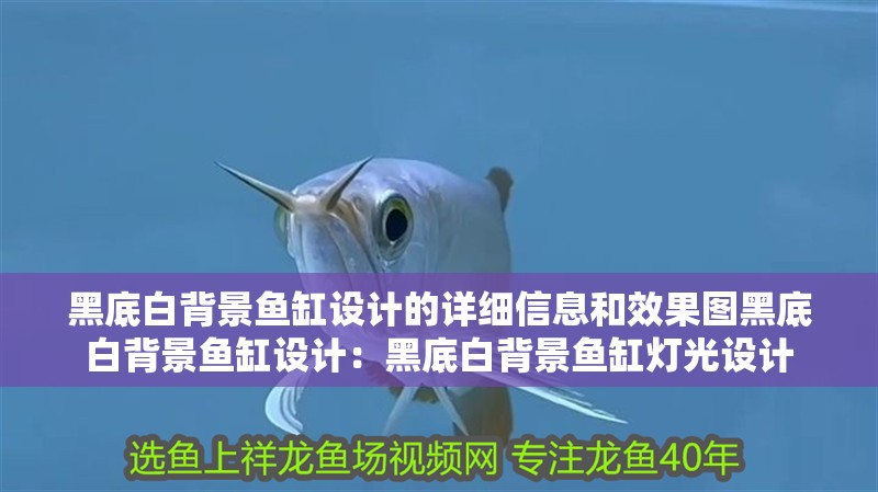黑底白背景魚缸設計的詳細信息和效果圖黑底白背景魚缸設計：黑底白背景魚缸燈光設計